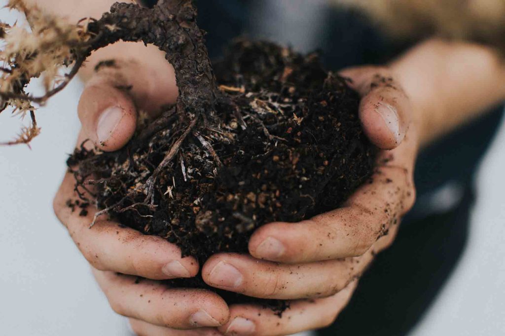 What kinds of things can be composted aicrow