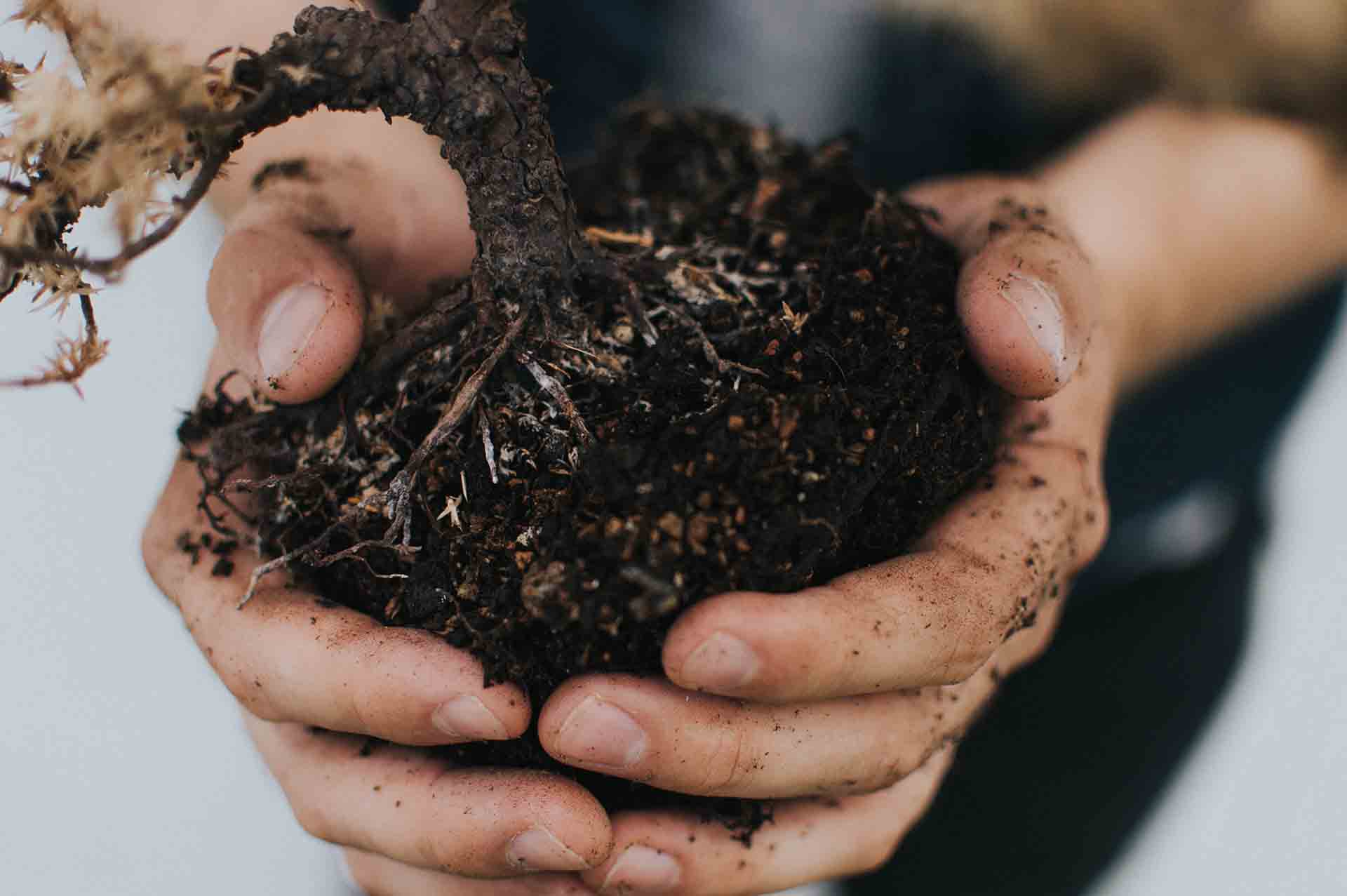 What Kinds of Things Can Be Composted?